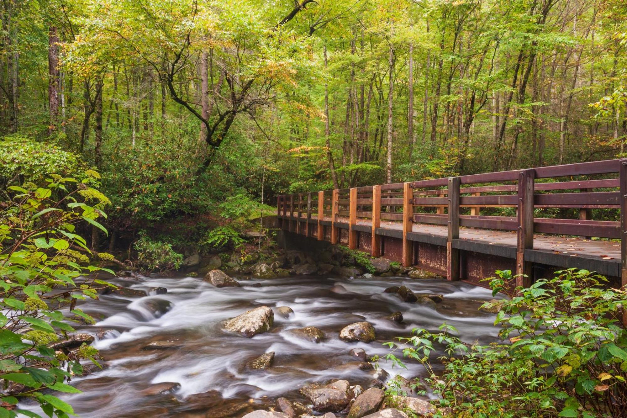 Wilderness Lodge, Hot Tub, Game Room, Pool Access, 1089 Free Tickets Each Paid Day, Dollywood And M Sevierville Exterior foto